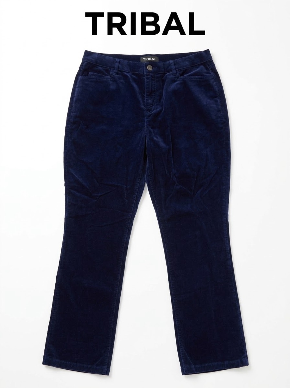 Womenโs Tribal corduroy pants Size 14P 0308